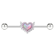 Heart Shaped Industrial Barbell 